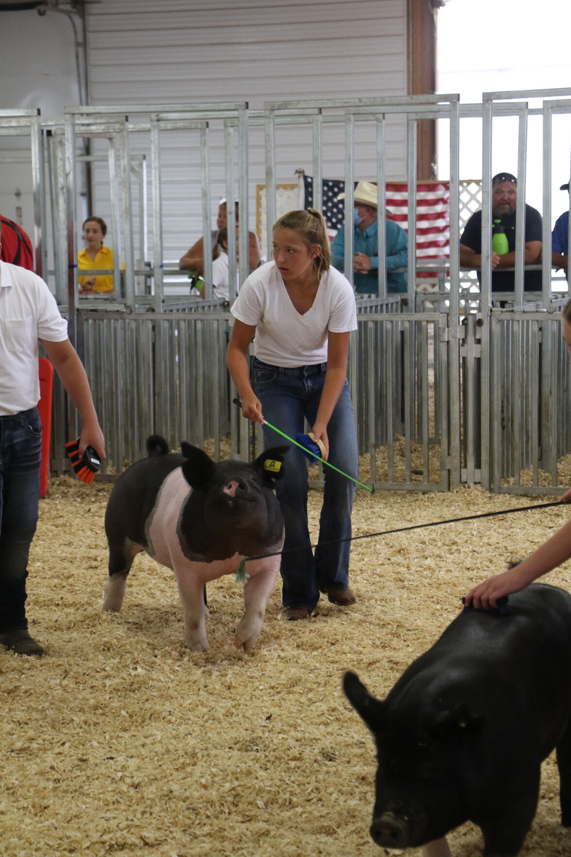 PHOTOS: Pig Showmanship